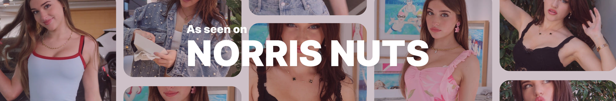 Norris Nuts Collection Banner