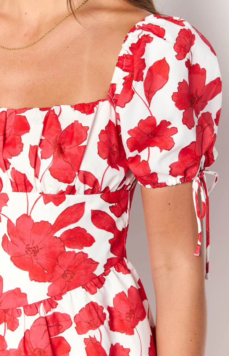 Danyal Red Anemone Floral Print Mini Dress | Beginning Boutique US Danyal Red Anemone Floral Print Mini Dress | Beginning Boutique US