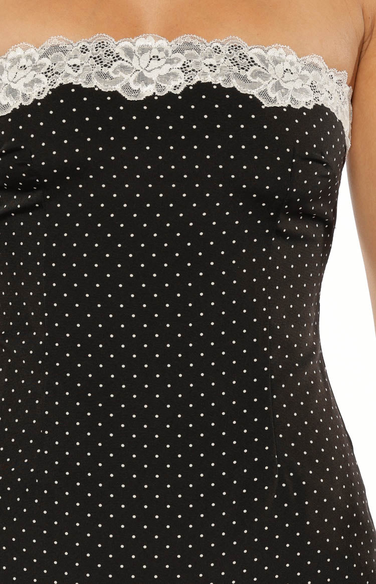 Earlette Black Polka Dot Lace Mini Dress Image