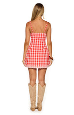 Elliana Red Gingham Lace Trim Mini Dress Image