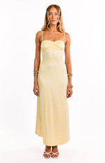 Ely Yellow Lace Maxi Formal Dress Image