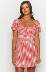 I'm Yours Red Gingham Mini Dress