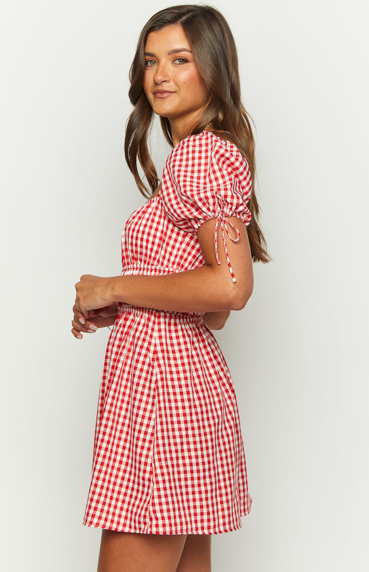 I'm Yours Red Gingham Mini Dress Image