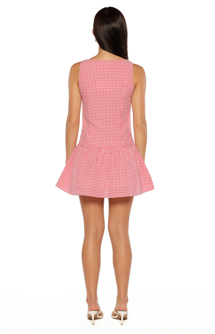 Jordyn Red Gingham Mini dress Image