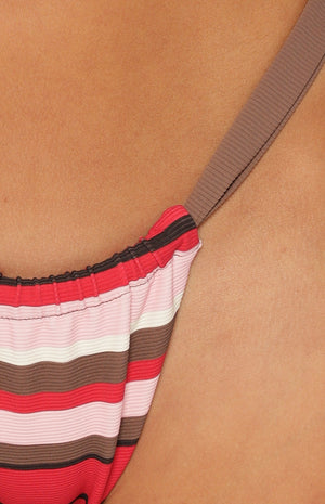 Close up of high cut bikini bottoms in a pink and brown stripe print with ruched detailing cheeky for a Swim look