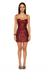Penny Lane Red Sequin Mini Dress Image