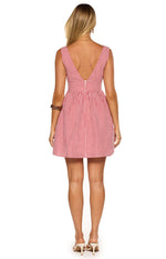 Saffron Red Gingham Tie Mini Dress Image