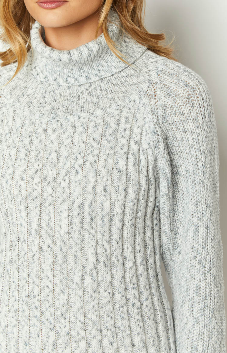 Xanthi Grey Roll Neck Sweater Mini Dress Image