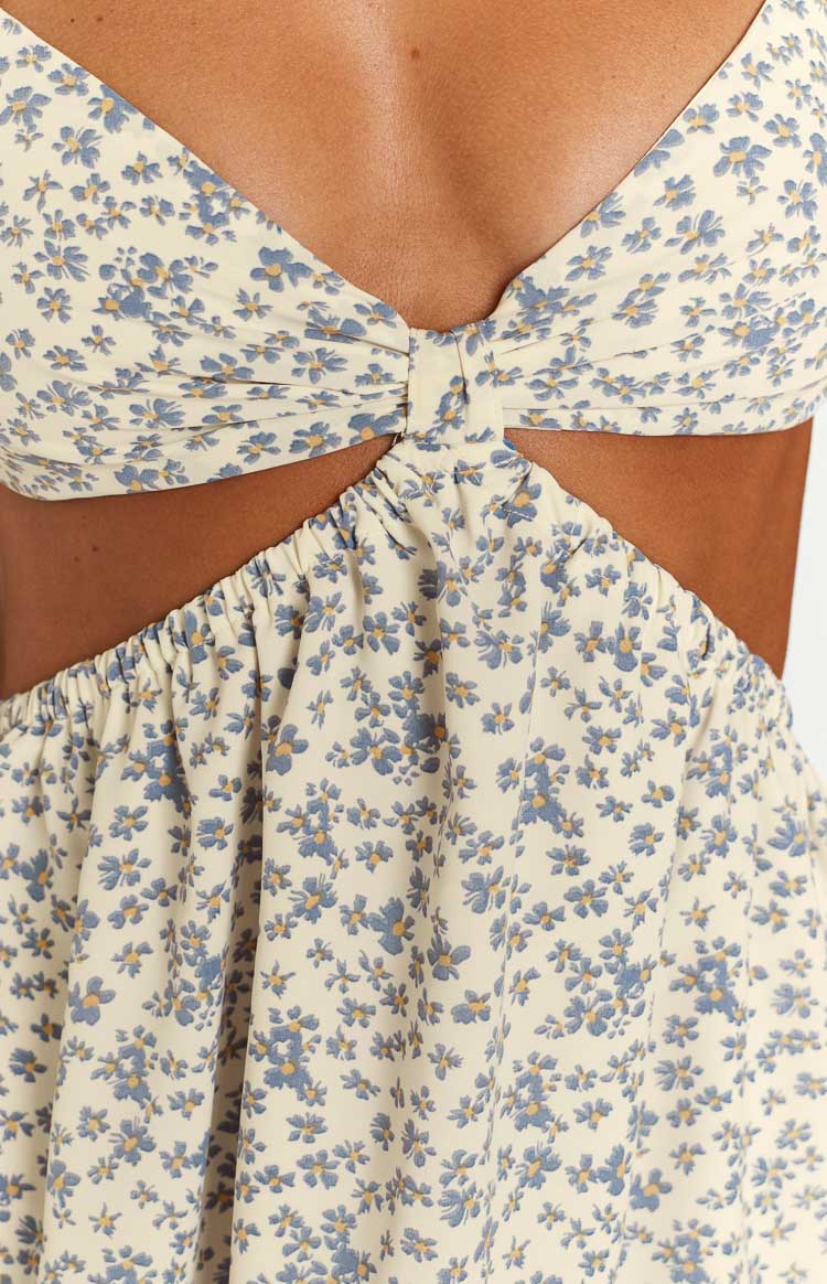 Amorgos Floral Print Mini Dress Image