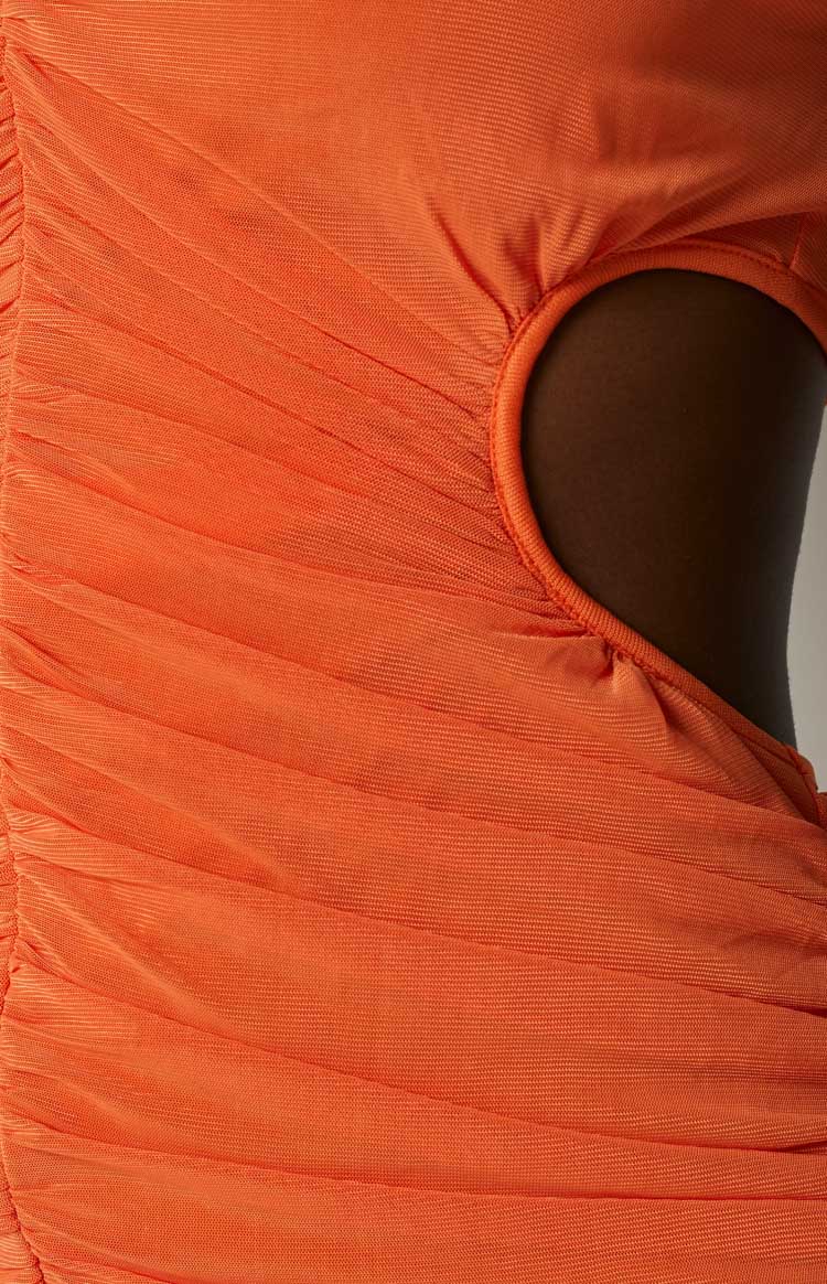 Claribel Orange Mini Dress Image