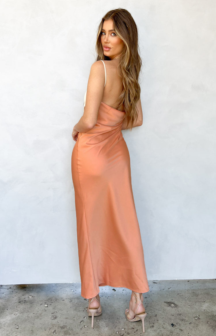 Fern Orange Maxi Dress Image