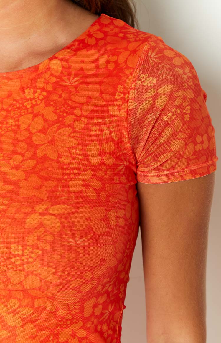Jodie Orange Floral Mesh Mini Dress Image