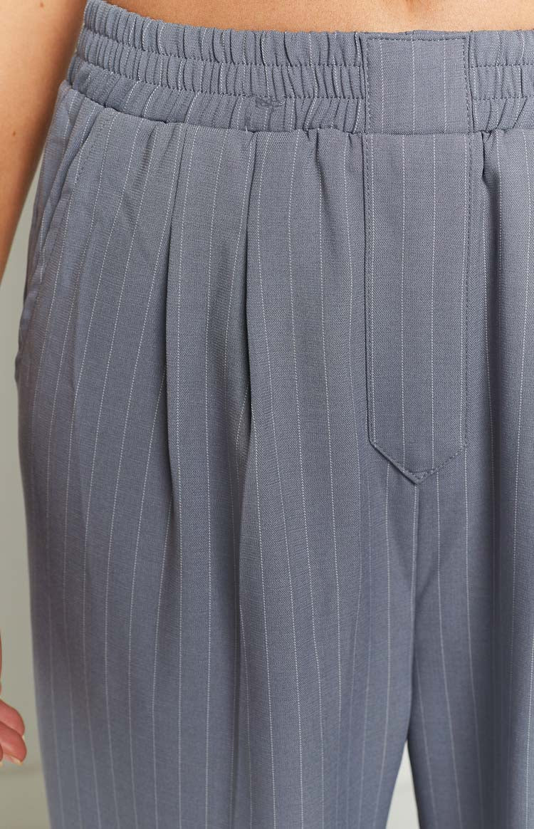 Lioness Agyness Slate Pinstripe Pant Image