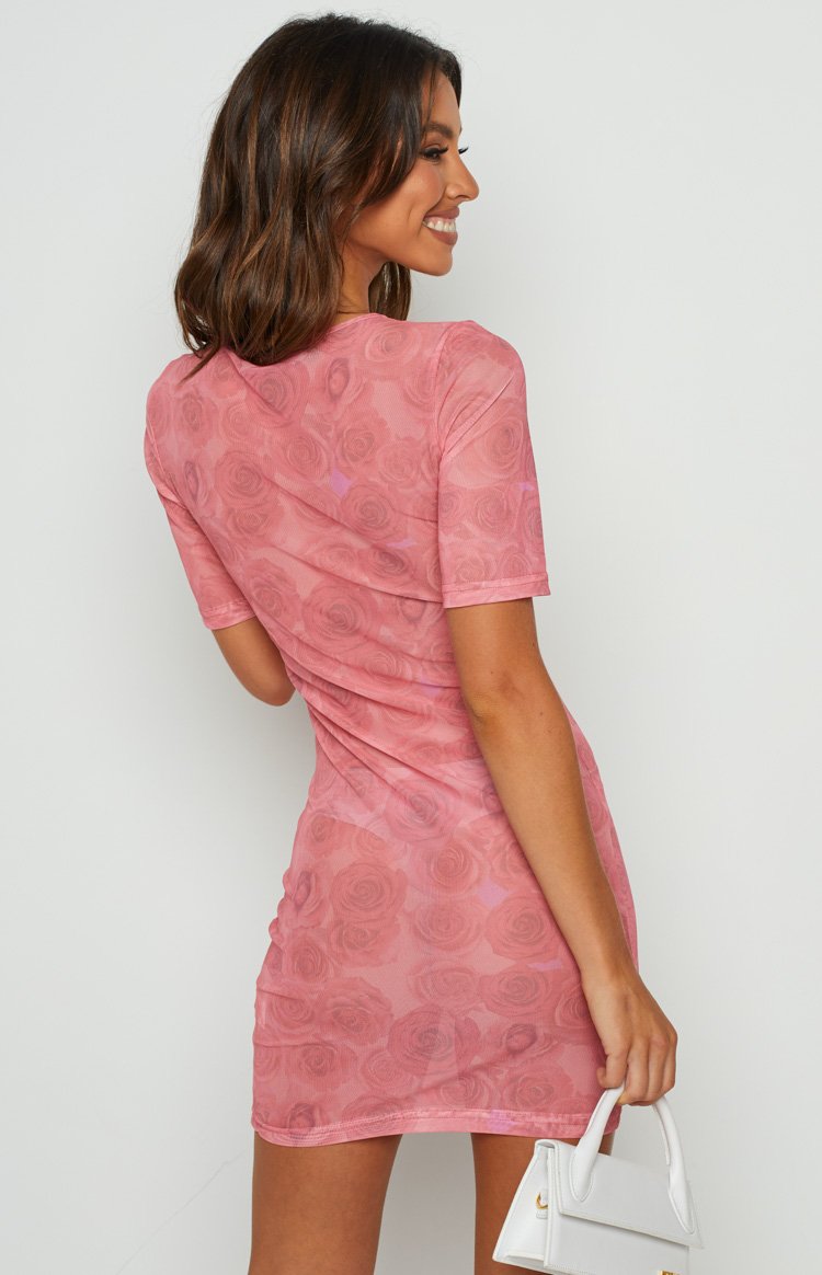 Lioness Hysteria Mesh Dress Pink Image