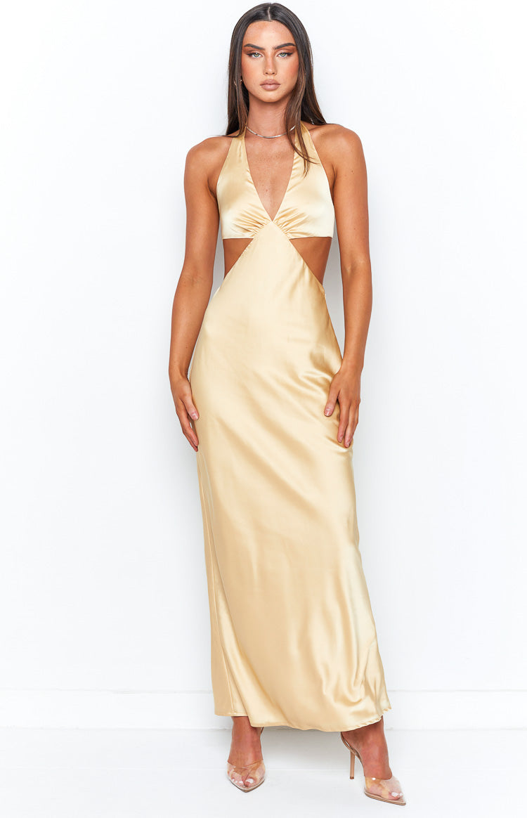 Orchid Champagne Maxi Dress Image